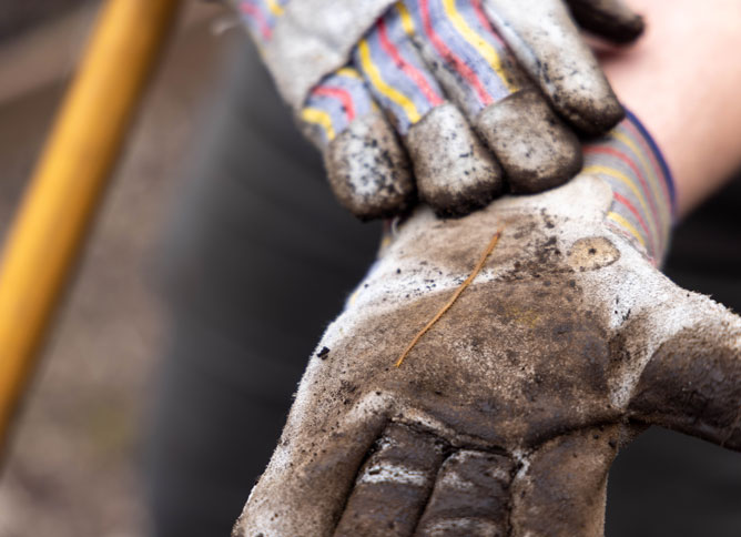 Two hands covered in dirt holding a centipede.