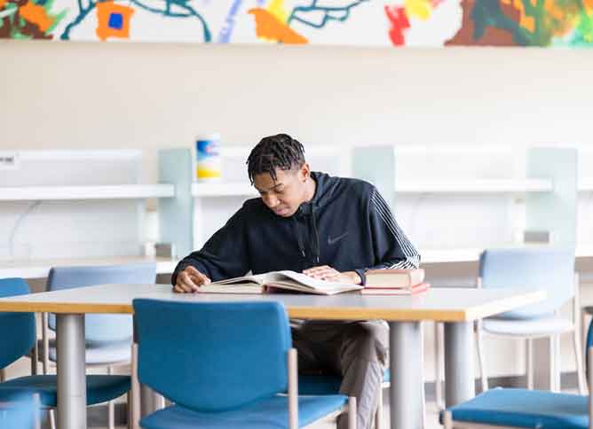 Student studying in Des Plaines library.